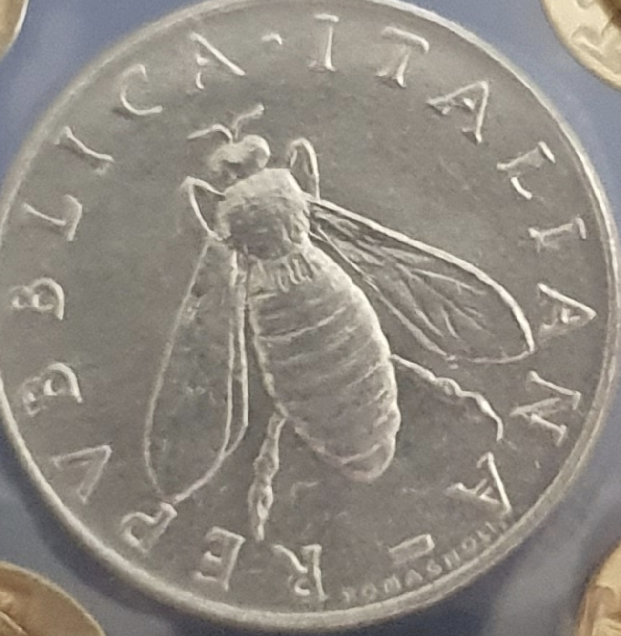 sena coins